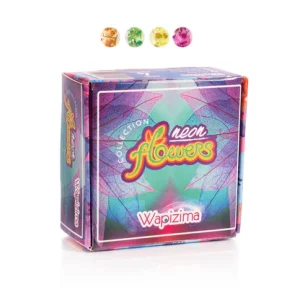 coleccion acrilico wapizima 4 pzs «neon flowers»